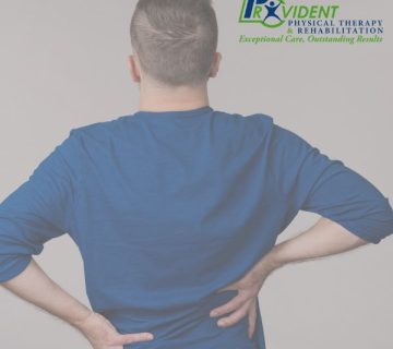 Physical Therapy East Northport